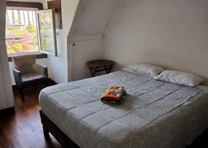 Wild Bellavista Hostel